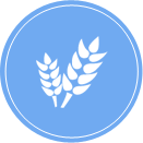 信息化服務(wù)